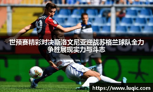 MK体育官网
